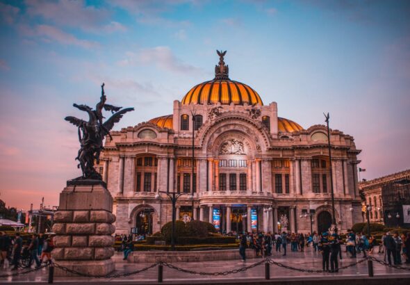 pexels-rafael-guajardo-194140-604661