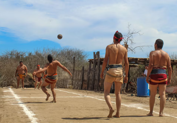 Screenshot 2026-02-24 at 17-53-13 INAH Sinaloa busca que el juego prehispánico ulama sea Patrimonio Cultural de México - Infobae