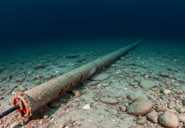 Screenshot 2026-02-26 at 17-13-59 Tras más de 35 años extraen del océano el cable que marcó el inicio de la era digital - Infobae