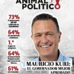 WhatsApp Image 2026-02-19 at 17.13.47 d