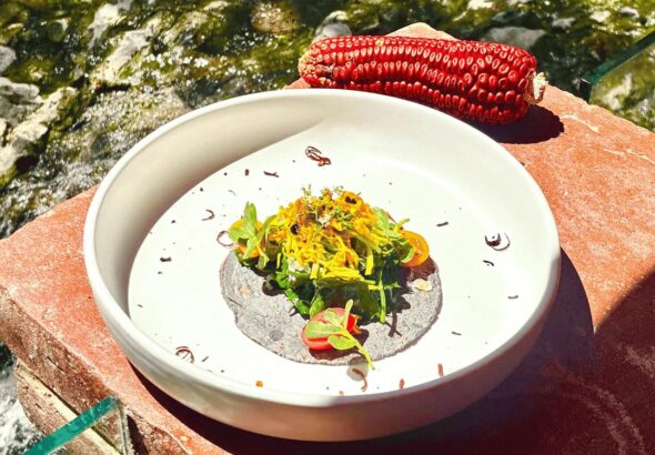 Semana de la Cocina Tlaxcalteca 2026- sabores, tradición y experiencias únicas