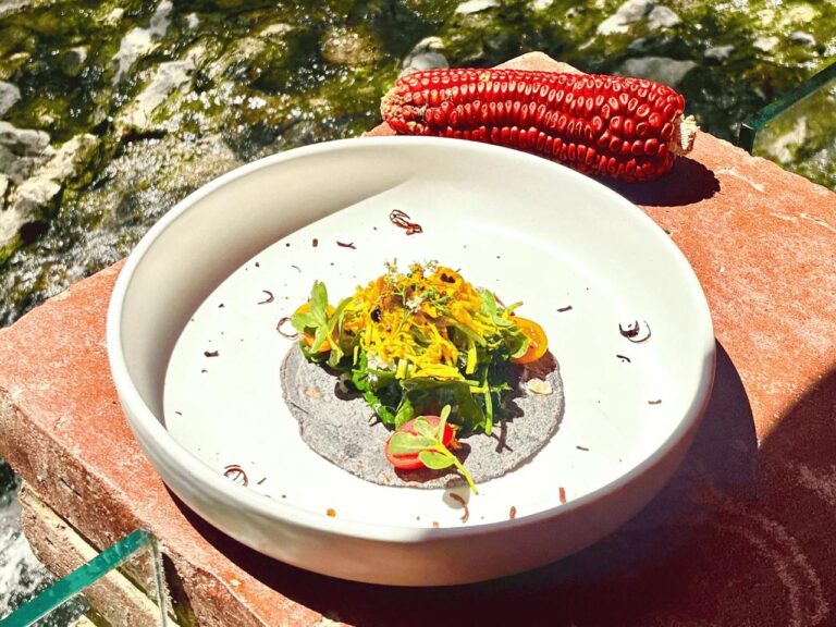 Semana de la Cocina Tlaxcalteca 2026- sabores, tradición y experiencias únicas