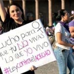 ley-valeria-acecho-que-busca-castigar