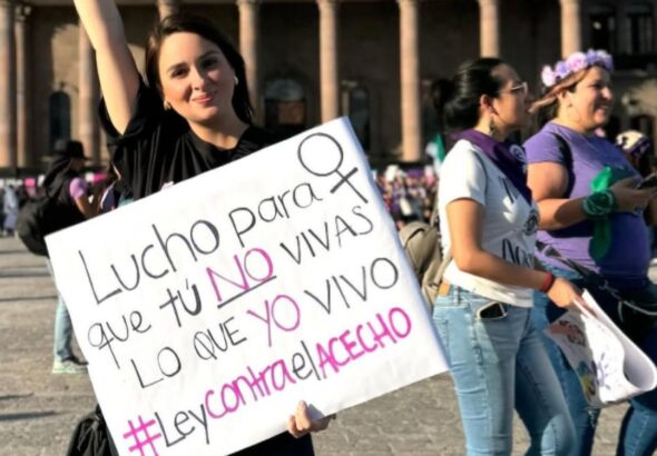 ley-valeria-acecho-que-busca-castigar