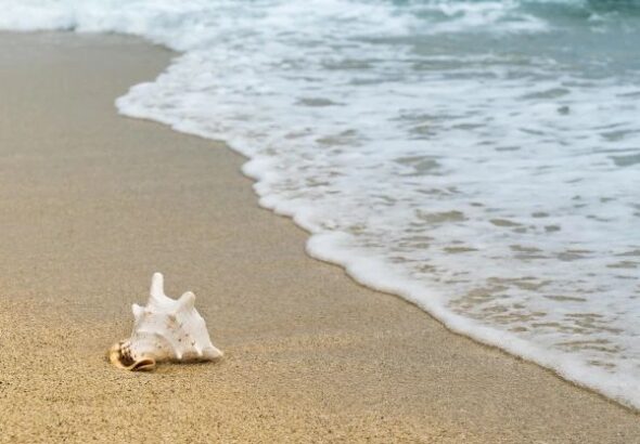 Cofepris revela única playa no apta en México para Semana Santa 2026