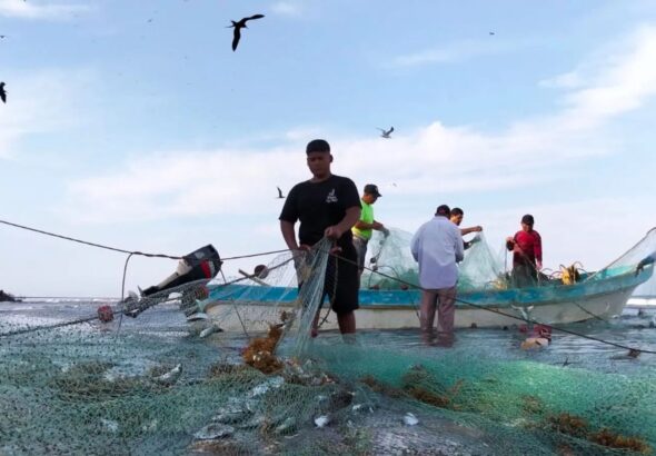Hidrocarburo y sargazo paralizan pesca en Veracruz- 200 pescadores afectados en Alvarado