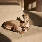 ac69ee59af50803c9e38055f7deb45ef