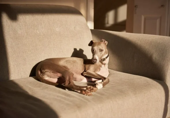 ac69ee59af50803c9e38055f7deb45ef