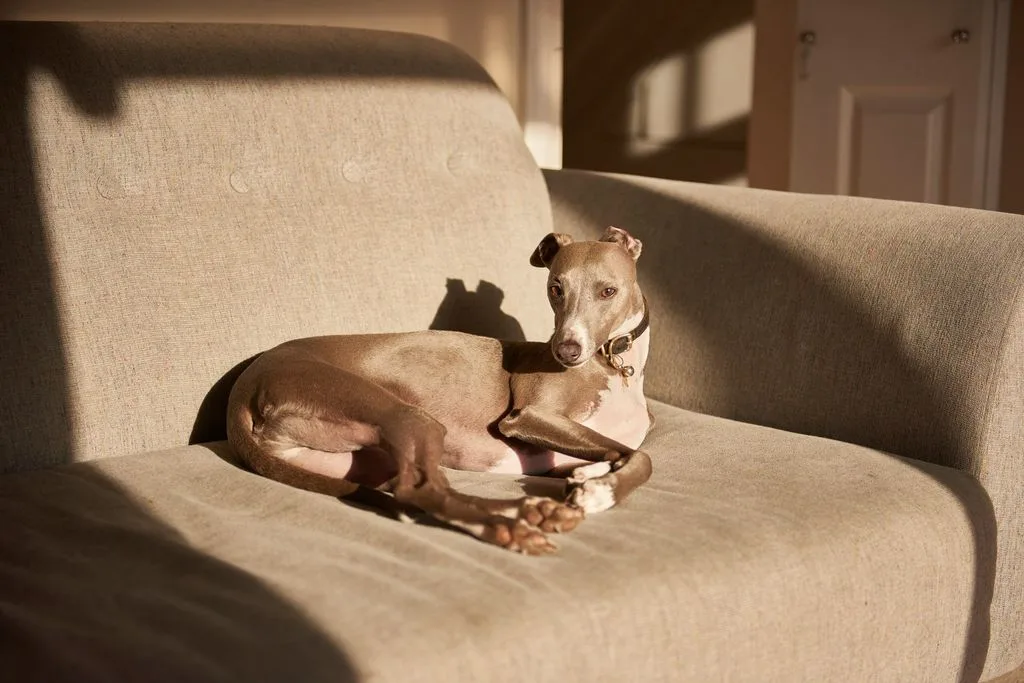 ac69ee59af50803c9e38055f7deb45ef