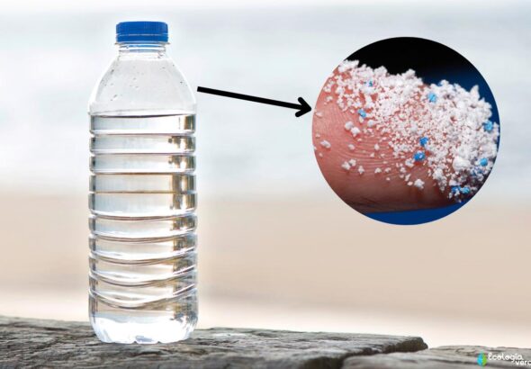 microplasticos_en_el_agua_embotellada_que_son_tipos_y_como_eliminarlos_5141_1200