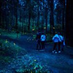 Temporada de luciérnagas en Tlaxcala arranca el 10 de junio en Nanacamilpa